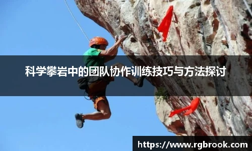 中欧官网入口